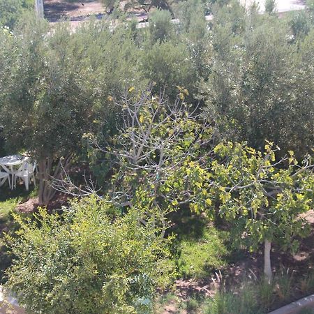 Les Jardins Fleuris Bed & Breakfast Essaouira Exterior foto