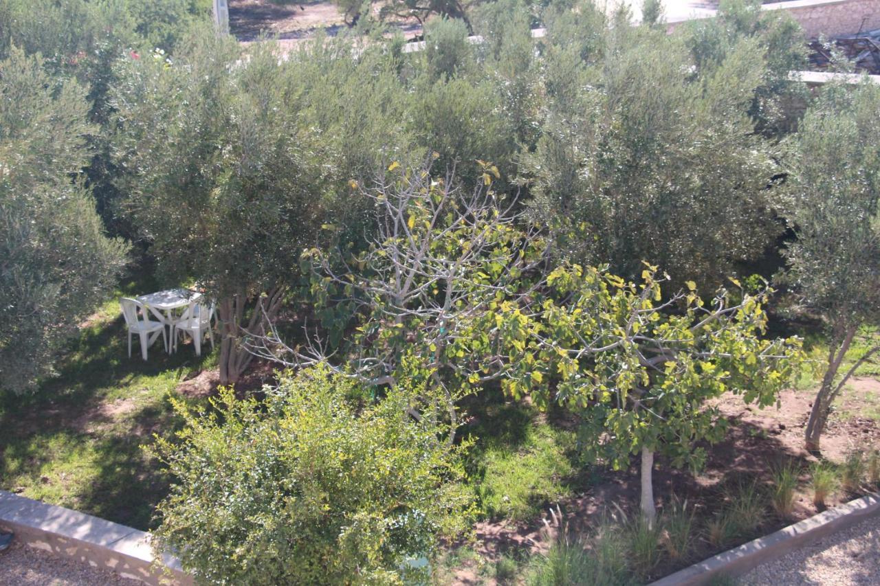 Les Jardins Fleuris Bed & Breakfast Essaouira Exterior foto