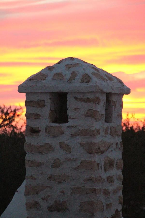 Les Jardins Fleuris Bed & Breakfast Essaouira Exterior foto